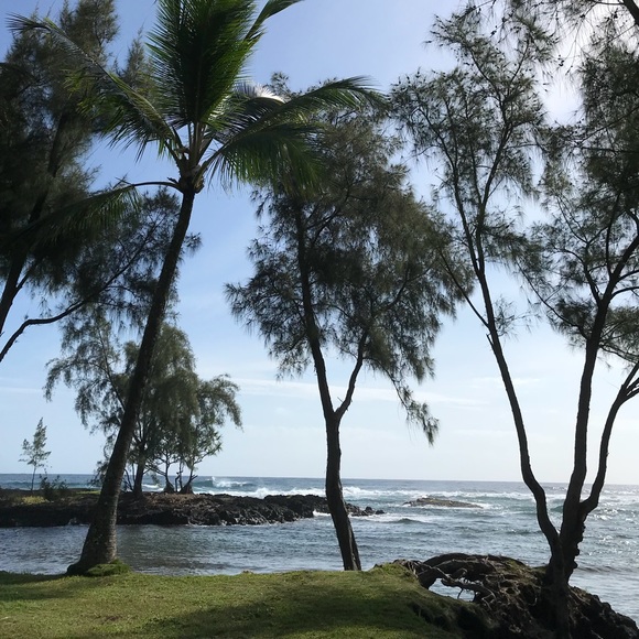 Meet your Posher, Sayo - Picture 1 of 1